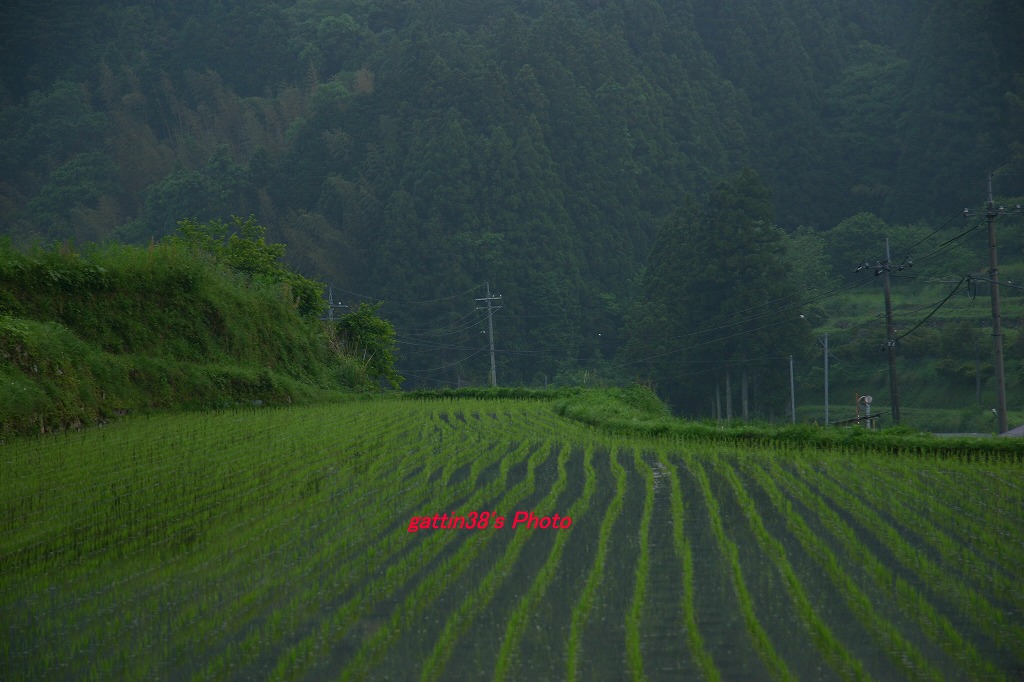 e0018678_22484165.jpg