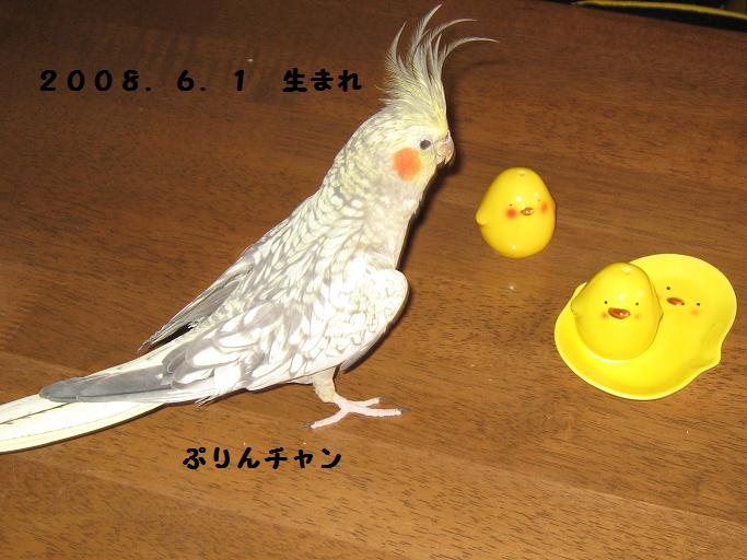 e0027078_2156329.jpg