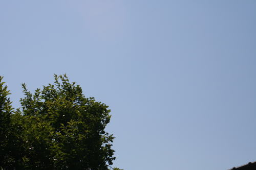 b0136683_14362697.jpg
