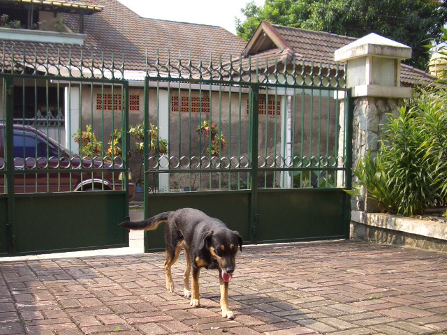 c0175883_14344361.jpg