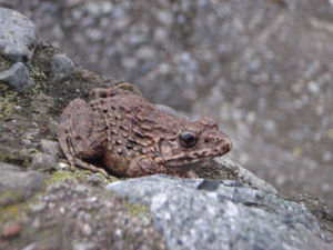 c0146788_94342100.jpg