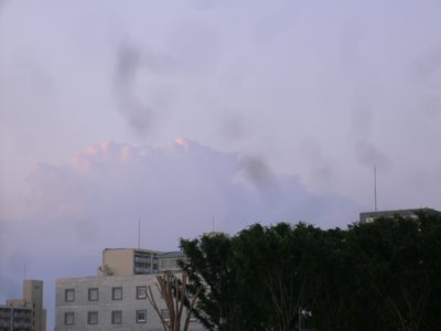 a0105289_21521858.jpg