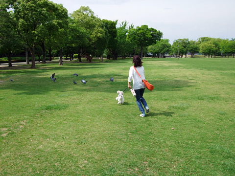 b0104592_16542358.jpg