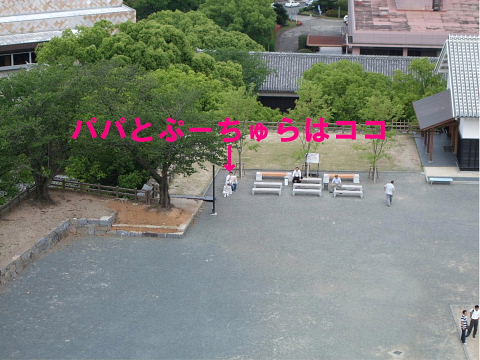 b0104592_1725375.jpg