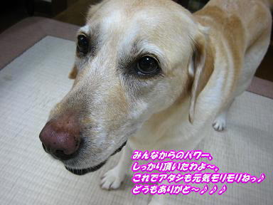 c0028792_23283468.jpg