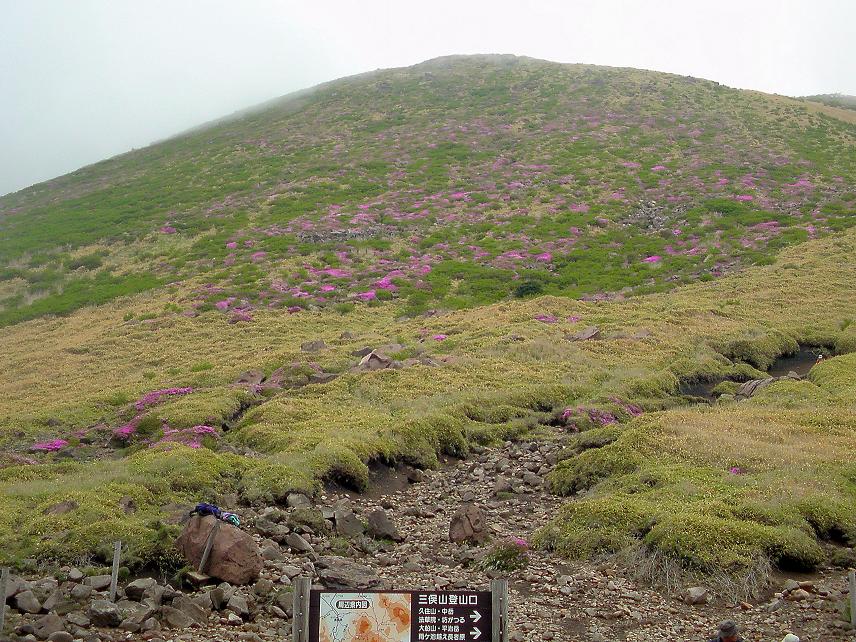 b0177493_23454955.jpg