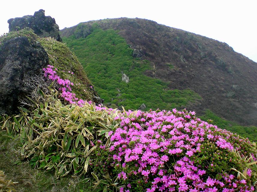 b0177493_234743100.jpg
