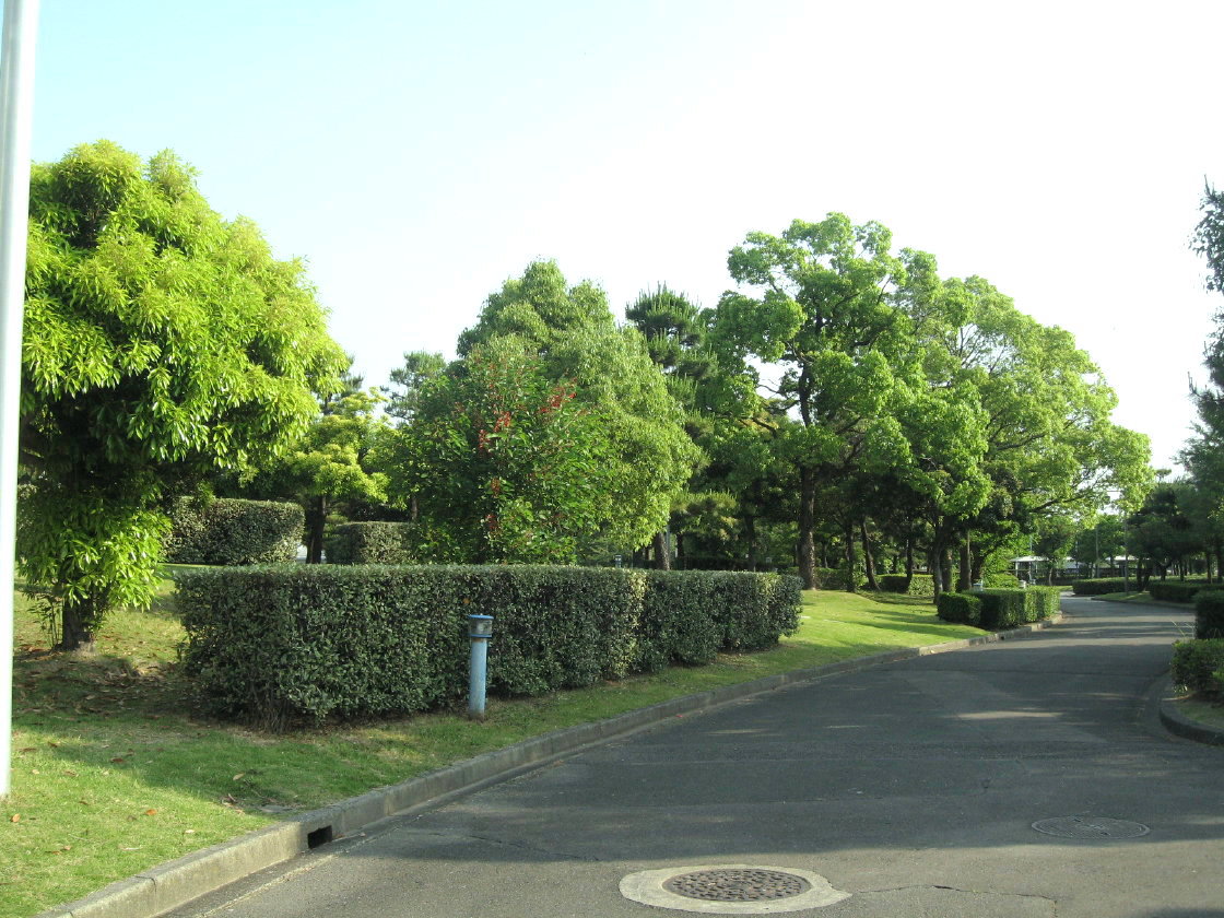 c0094393_233125.jpg
