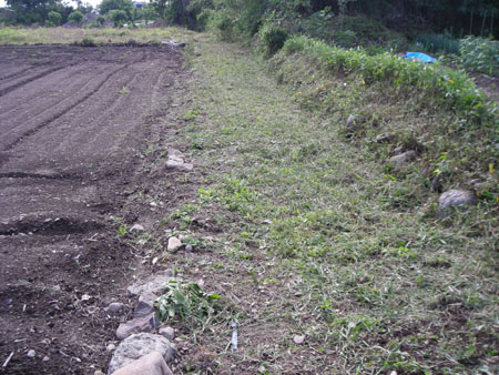 d0000995_16172660.jpg