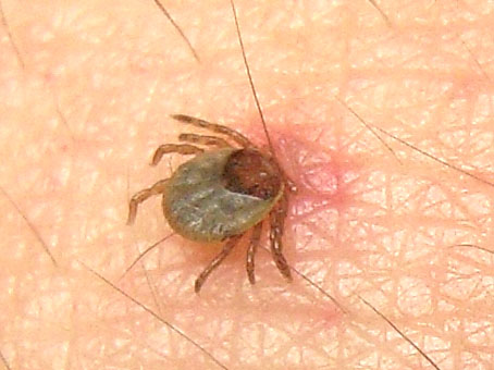 e0083097_257849.jpg