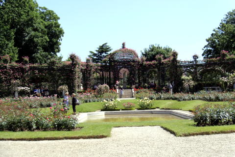 c0090198_35370.jpg