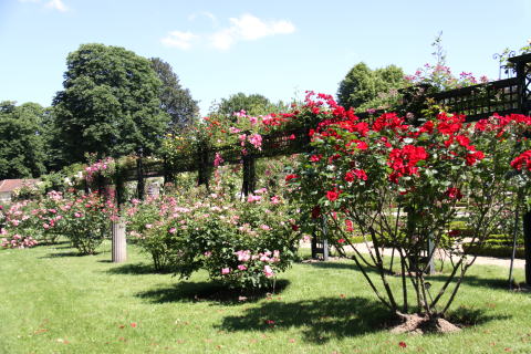c0090198_362240.jpg