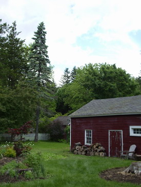 d0103098_6224949.jpg