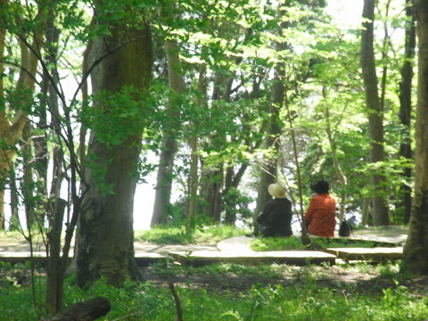 c0156703_7381175.jpg