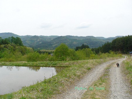 d0087503_1161523.jpg