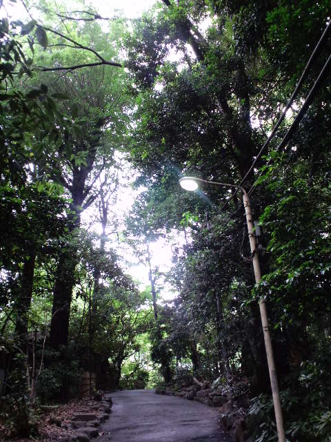 a0088007_091472.jpg
