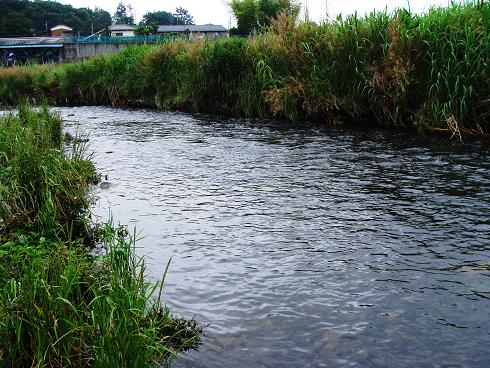 e0123808_04773.jpg