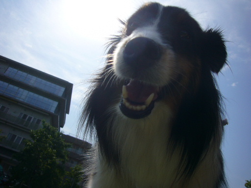 e0130008_23403797.jpg