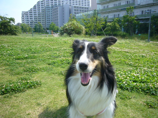 e0130008_23474110.jpg