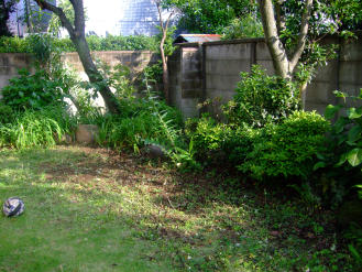 a0109615_19164528.jpg