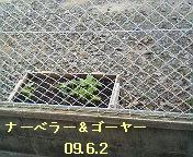 b0115215_15182831.jpg