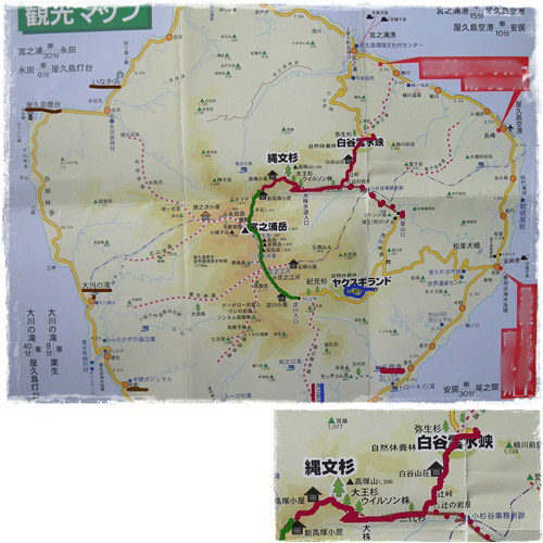 d0080118_22384948.jpg