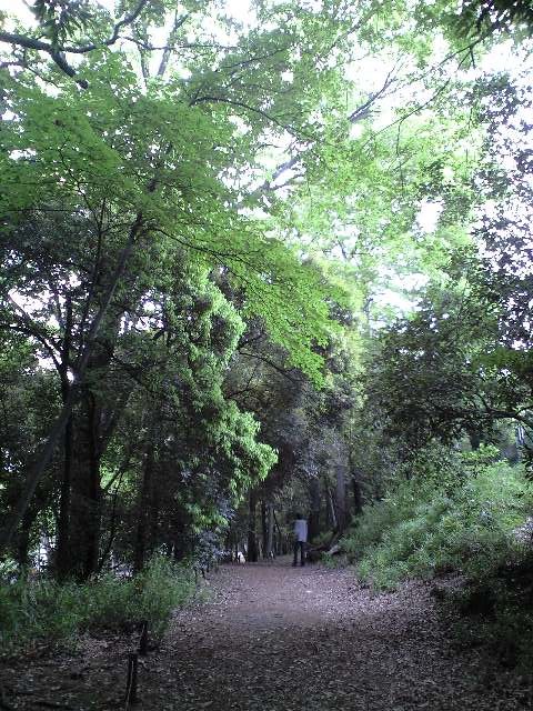 c0049919_21502173.jpg