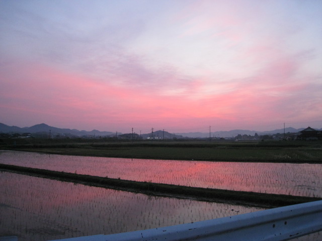 c0197220_1855374.jpg