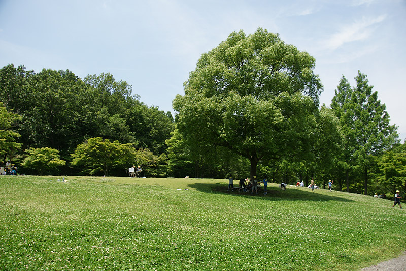 d0089024_16581884.jpg