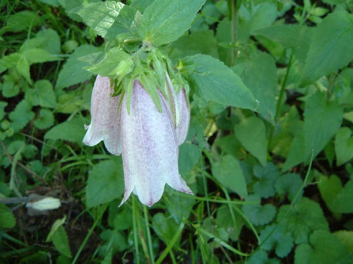 b0044825_9354011.jpg