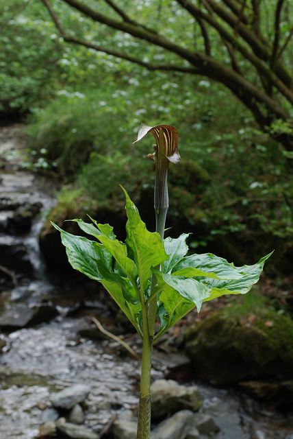 c0027027_3144937.jpg