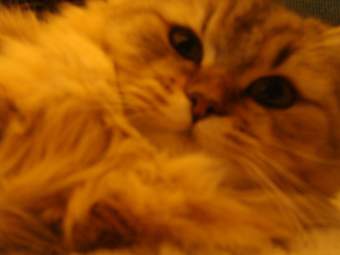 e0157129_19105392.jpg