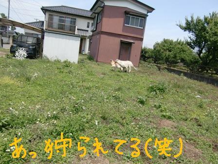 f0176830_21103780.jpg