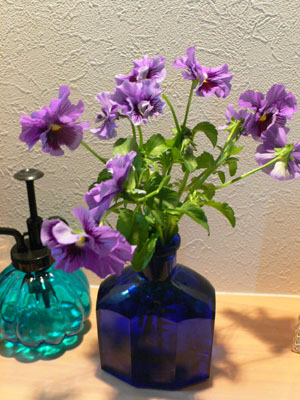 f0061334_214767.jpg