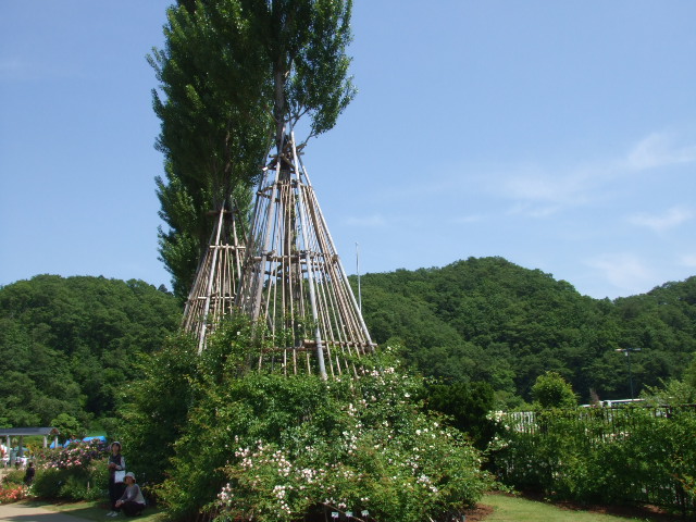 d0150739_2325698.jpg