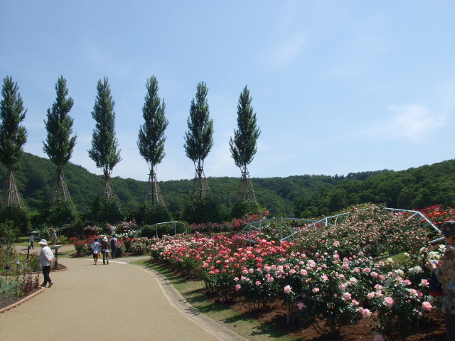 d0150739_2393751.jpg