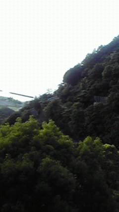 b0157942_2040656.jpg