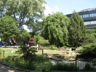 e0018350_5181477.jpg