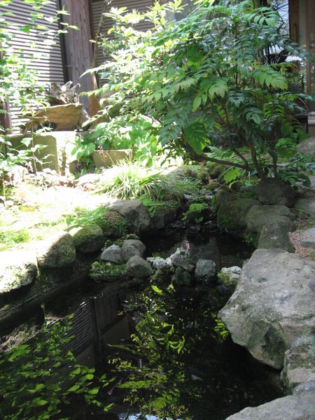 f0198950_2154437.jpg