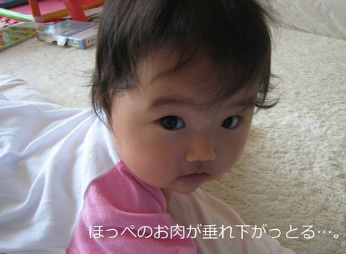 a0090451_1195956.jpg