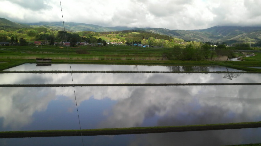 b0072651_8301257.jpg