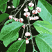 d0003551_1531941.gif