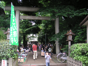 b0051052_1320891.jpg