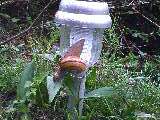 f0106355_1385692.jpg