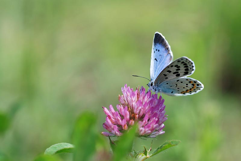 c0043361_23262335.jpg