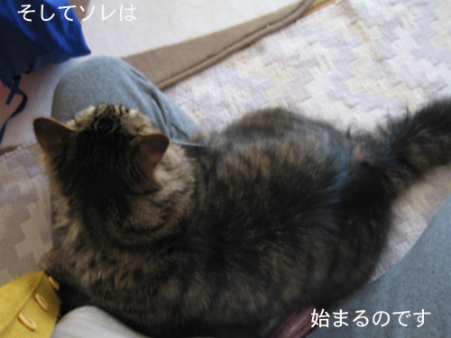 e0057361_1710835.jpg