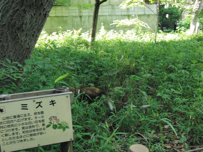 c0177668_2092049.jpg