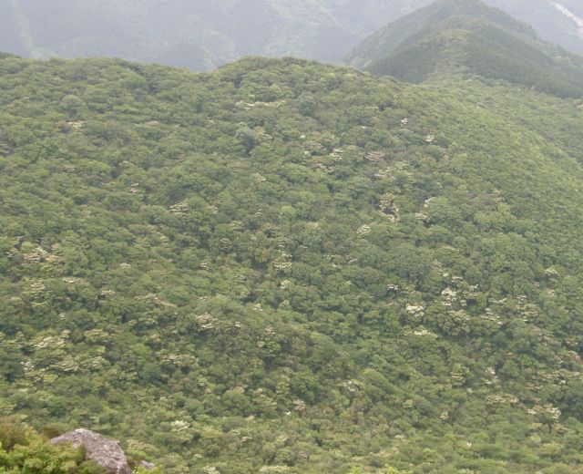 c0042869_2023786.jpg