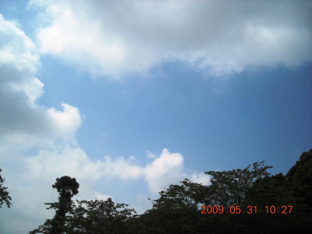 d0141071_0413963.jpg