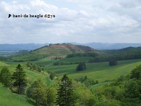 f0150377_23342132.jpg